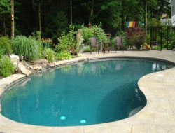 Bean Shaped Pool Manufacturer in Bhopal