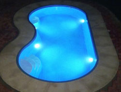 Bean Shaped Pool Manufacturer in Bhopal